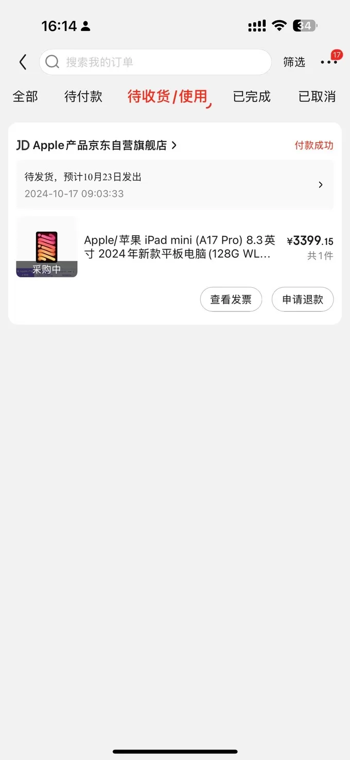 💯苹果ipadmini