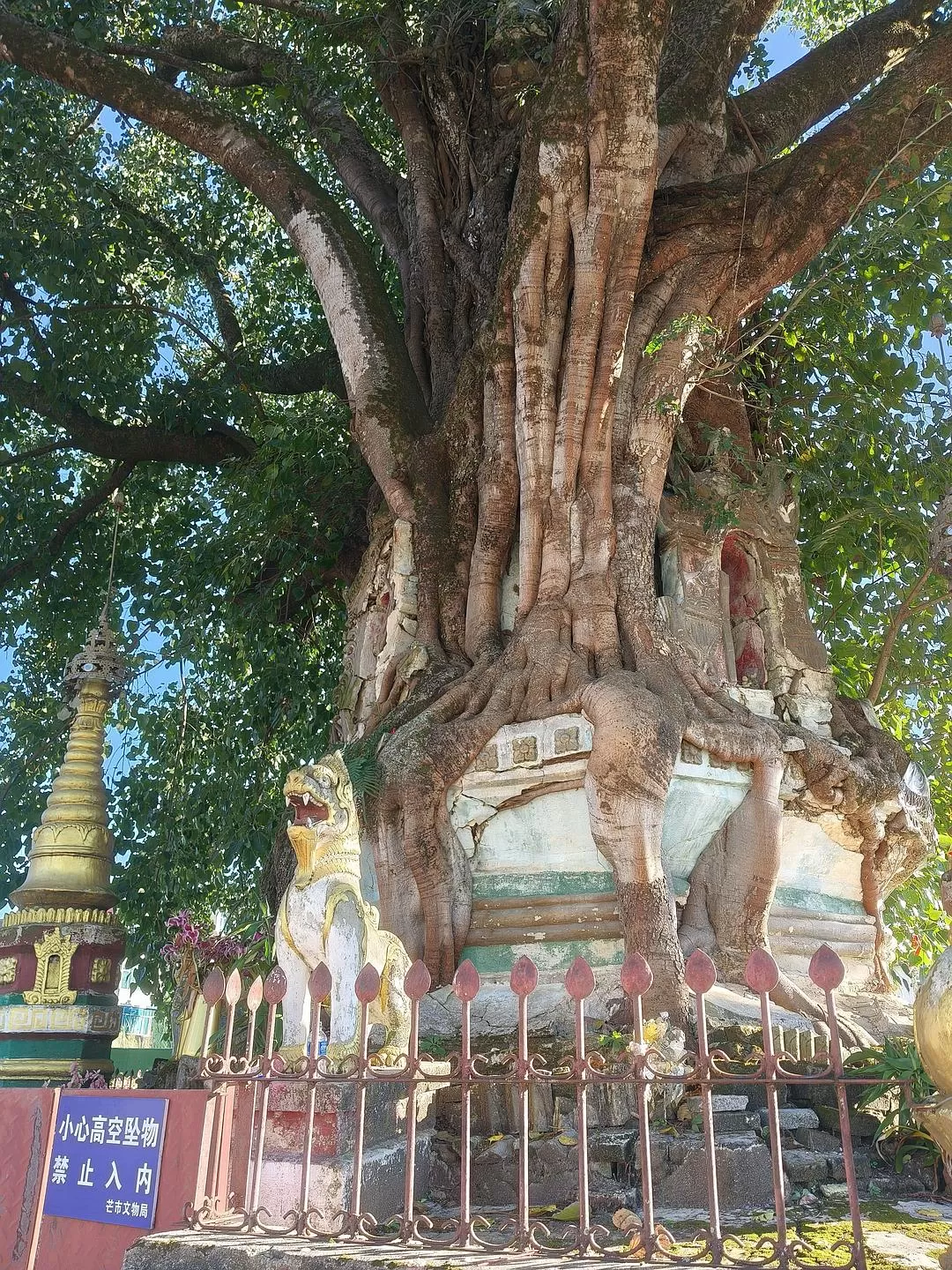 旅游推荐两人游：滇西⚡南七日游--腾冲芒市西双版纳之旅