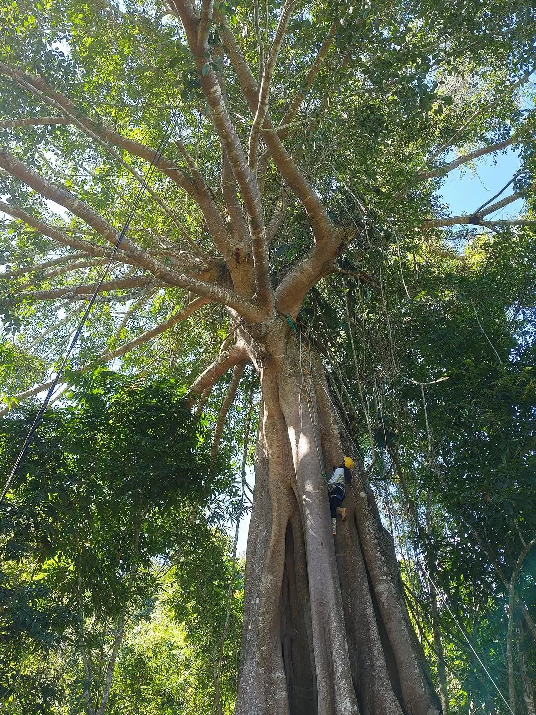 旅游推荐两人游：滇西⚡南七日游--腾冲芒市西双版纳之旅